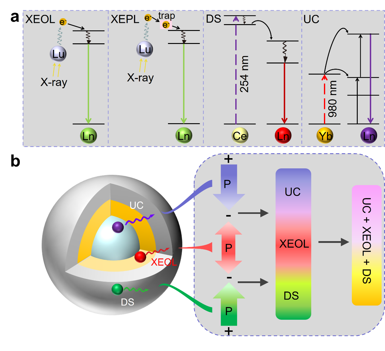 Fig. 1 a XEOL, XEPL, DS and UC processes in lanthanide doped fluoride NSs. b Schematic illustration of the multimode color evolution based on fluoride core@shell@shell NSs. P represents excitation power.