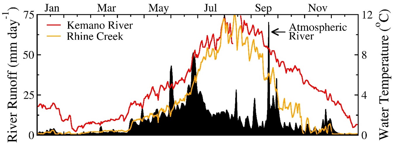 Figure 2: Daily runoff for the Kemano River (black filled curve) and mean daily water temperatures for the Kemano River and Rhine Creek in 2021. An atmospheric river made landfall along the north-central coast of BC on 20-22 September 2021 causing water levels to jump rapidly with river runoff peaking at 70 mm day-1.