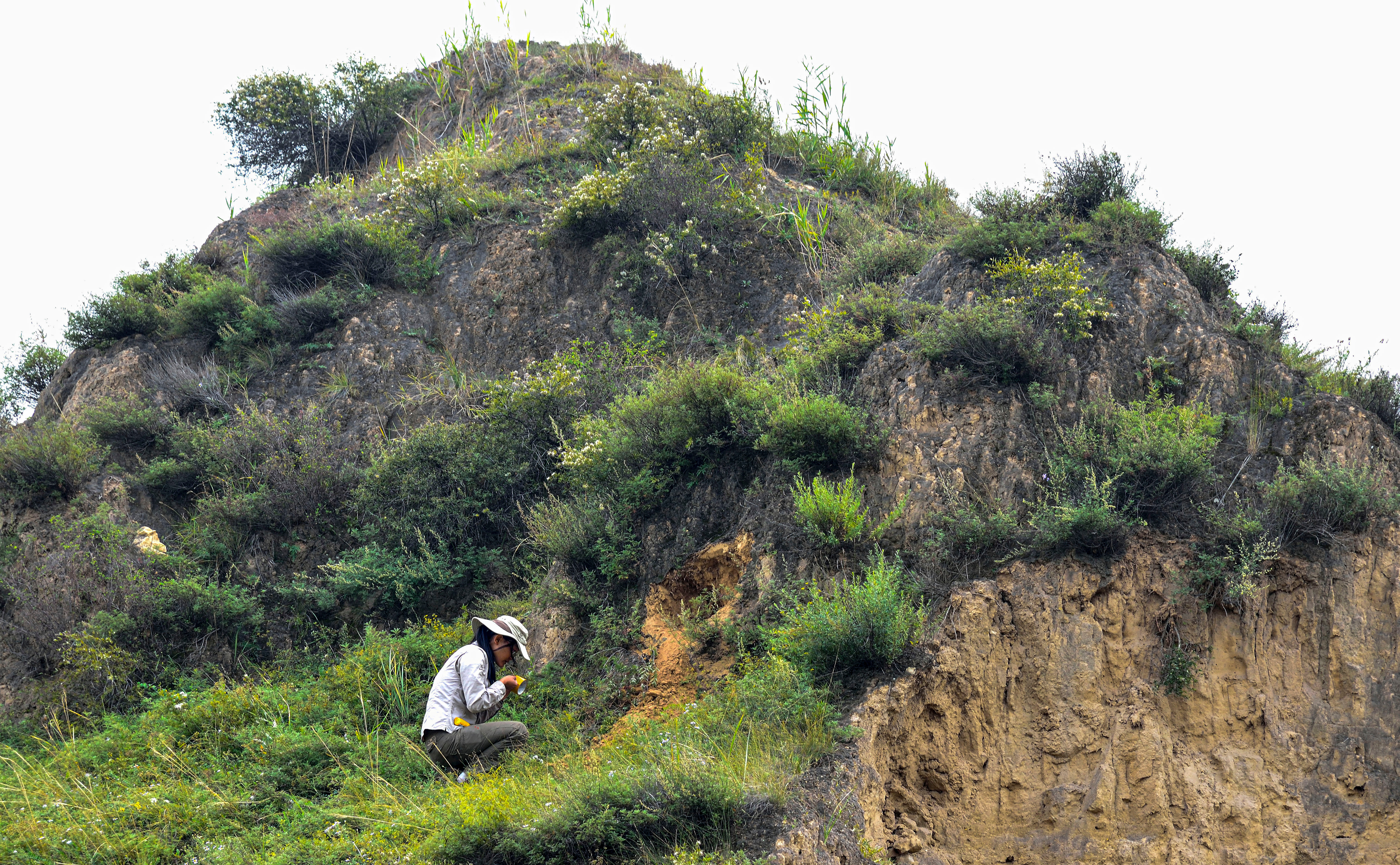 Collecting OSL samples at Shiyu site (2013)