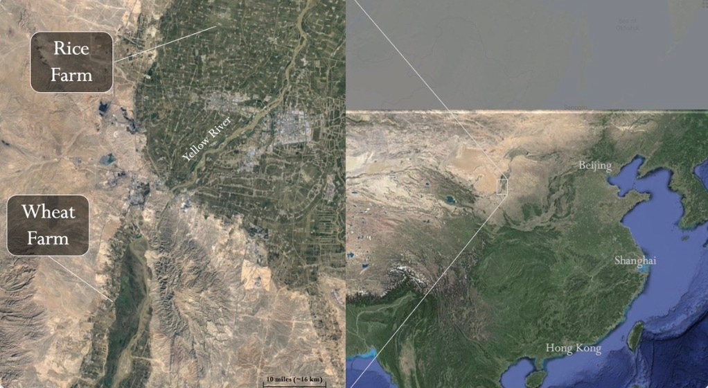 Location of rice and wheat state farms in Ningxia, China