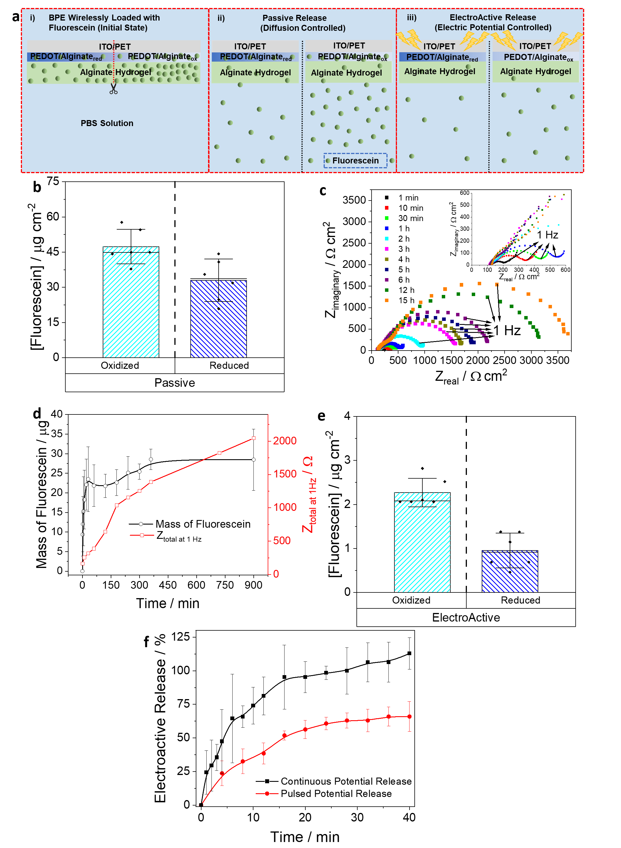 a Schematic representation of the  BPE (PET/ITO/PEDOT/Alginate hydrogel) wirelessly loaded with fluorescein  molecules (red dashed square), where (i) represents the initial state of the intact BPE  fully loaded with fluorescein molecules, (ii) represents passive (diffusion-con trolled), and (iii) electrically controlled release from Alginate and PEDOT layers of  the BPE halves. b Concentration of fluorescein passively released from the oxidized  (light blue) and reduced (dark blue) halves of the BPE. c Nyquist EIS plots of a BPE  (oxidized half) during passive fluorescein release. d Passive release profile (black,  n=4) and total impedance (red, n=1) vs time for the oxidized half of a BPE.  e Quantification of electrically driven release from oxidized (light blue) and reduced  (dark blue) halves of a BPE. f Profile of electrically driven release from the oxidized  half ofaBPE.Applicationofcontinuous−0.8 V(vsAg/AgCl/KCl3 M)orpulsed(8 s  at −0.8V) potential results in control of the release kinetics, n = 3. Error bars in  b, d–f are standard deviations (see “Methods”).
