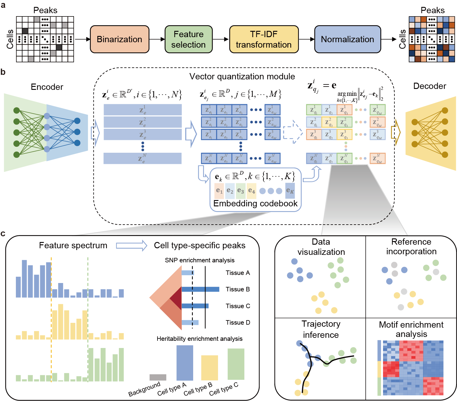 a, CASTLE takes as input the cell-by-region matrix after preprocessing including binarization, feature selection, TF-IDF transformation and normalization. b, CASTLE consists of an encoder, a vector quantization module and a decoder. c, CASTLE provides cell-type-specific feature spectra and link them to cell-type-specific peaks for downstream analysis, and facilitates data visualization, reference incorporation, trajectory inference and motif enrichment analysis.