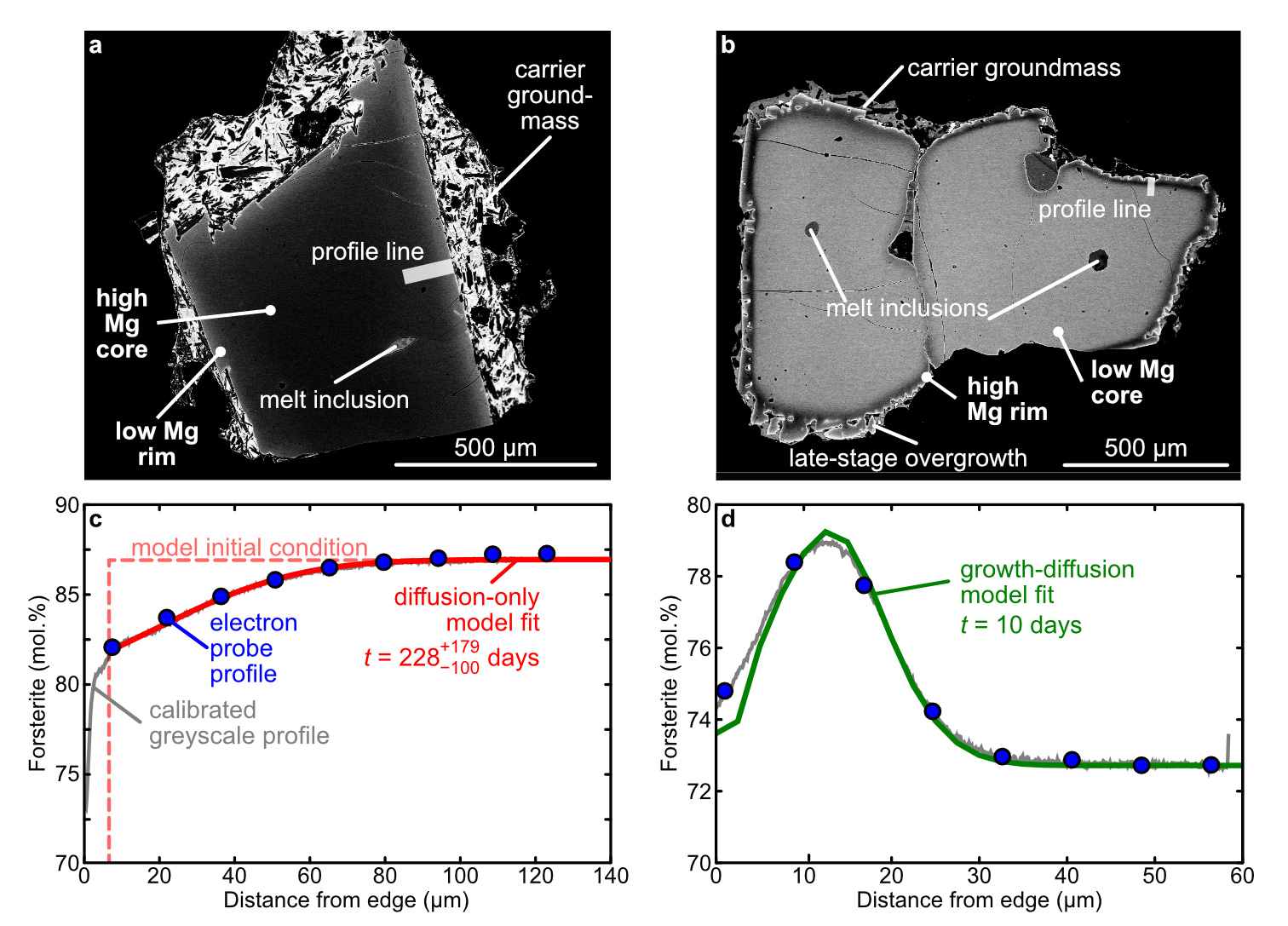 Figure 2. (a, b) Examples of the olivine Fe-Mg compositional zonation patterns observed using scanning electron microscopy. The greyscale brightness of these images corresponds to the olivine Fe-Mg ratio, expressed as forsterite number (100 × Mg / [Fe + Mg]), with dark regions being richer in Mg (higher Fo) and light regions being richer in Fe (lower Fo). (c, d) Example inter-zonal diffusional models used to resolve timescales of magma movement from olivine zonation patterns. Adapted from Figure 2 in Wong et al. (2025).