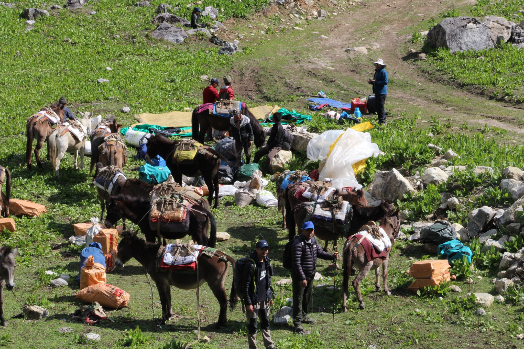 Limi Valley, Upper Humla (Nepal) Field Team Getting Ready to Collect Samples for Gut Microbiome Study