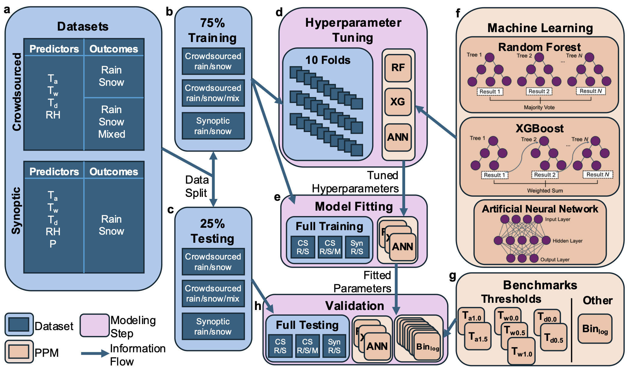 Study workflow