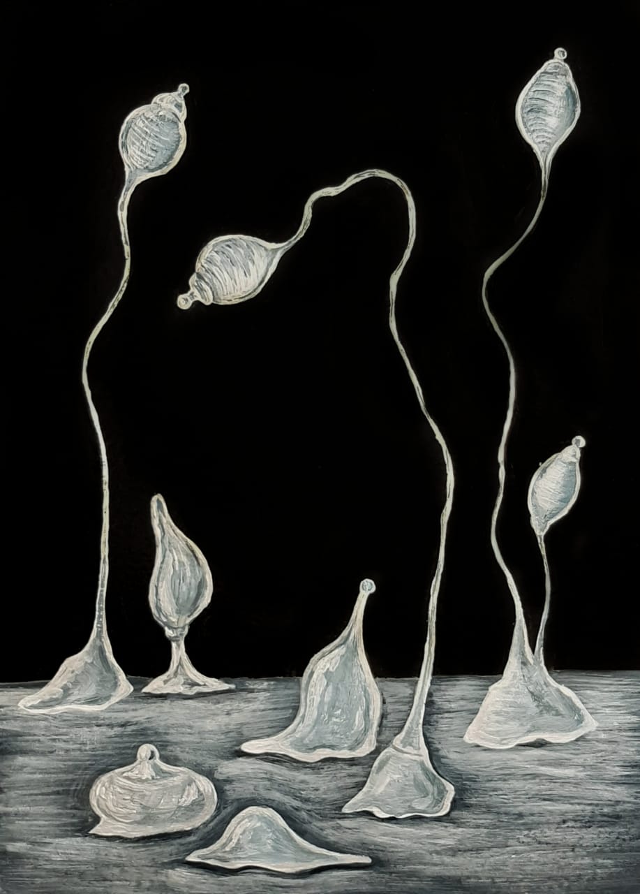 Dictyostelium discoideum