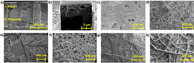 (a) full thickness cross-section of PVDF400 and (b) PVDF-only layer cross-section. Surface of (c) PVDF layer and (d) polyester support layer. SEM images of N95 layers (e) 1, (f) 2, (g) 3, and (h) 4. In mask orientation, layer 1 is exposed to the open environment and layer 4 is exposed to the inside of the mask. Layer 3 is referred to as the “separating” layer, as it had the highest flow resistance.
