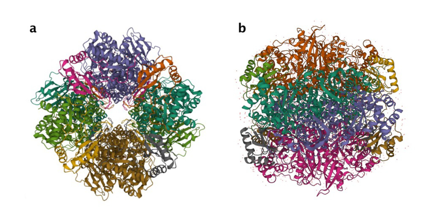 Data files contained in the PDB archive are available under the CC0 1.0 Universal (CC0 1.0) Public Domain Dedication.