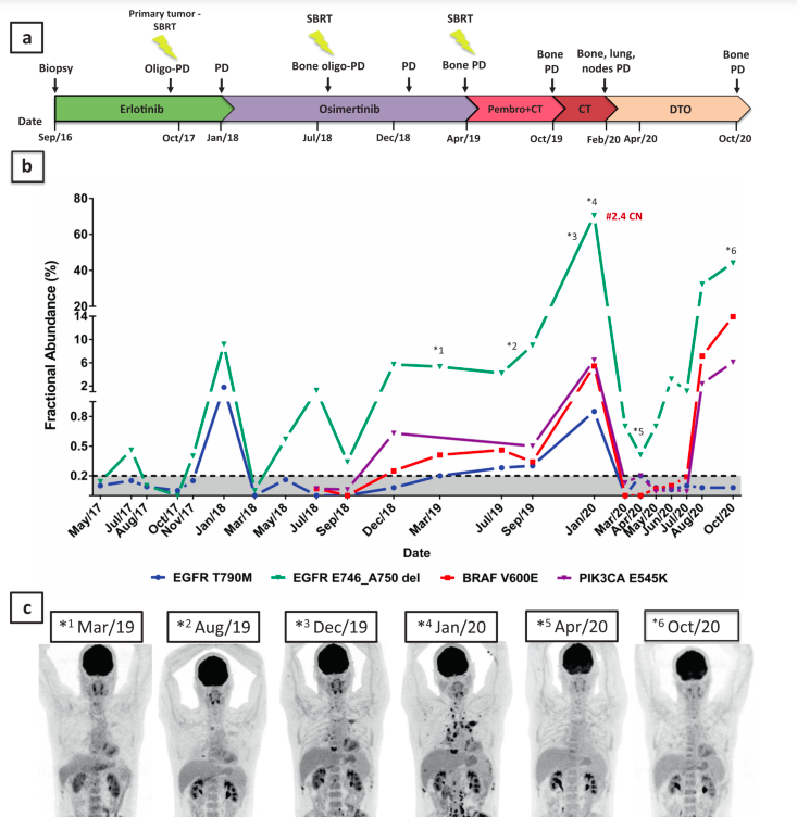 ctDNA dynamics throughout the entire treament. 
