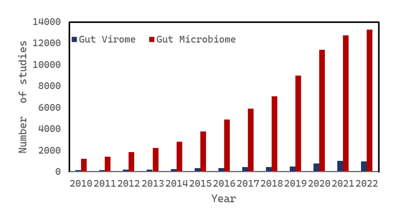 Figure 1. Discrepancy between number of studies mentioning “gut microbiome” vs. number of studies mentioning “gut virome,” between 2010-2022. Created using data from PubMed. Search queries: (1) "gut bacteria" OR "gut microbiome" (2) "gut viruses" OR "gut virome”.