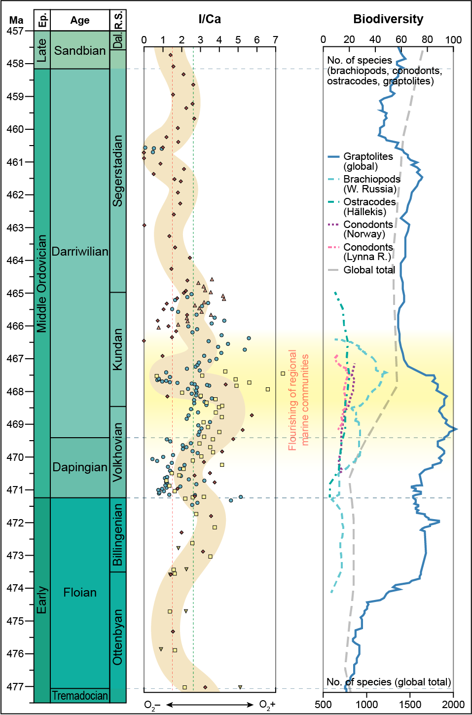 I/Ca vs. biodiversity