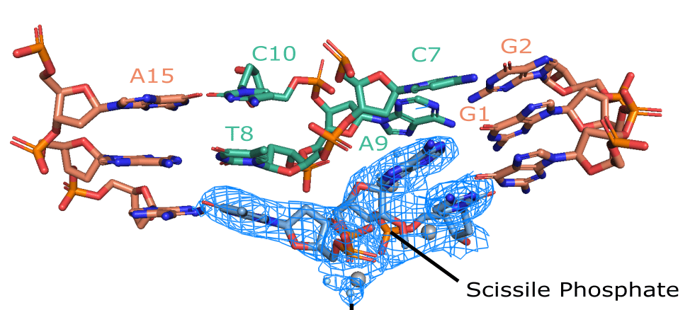active site