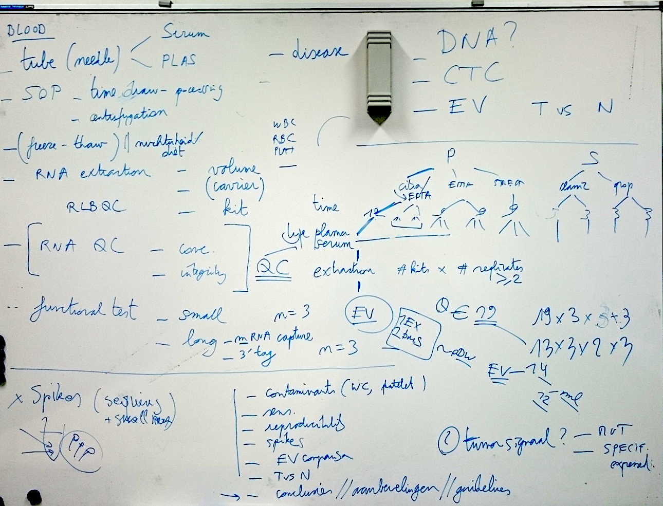 whiteboard (OncoRNALab)