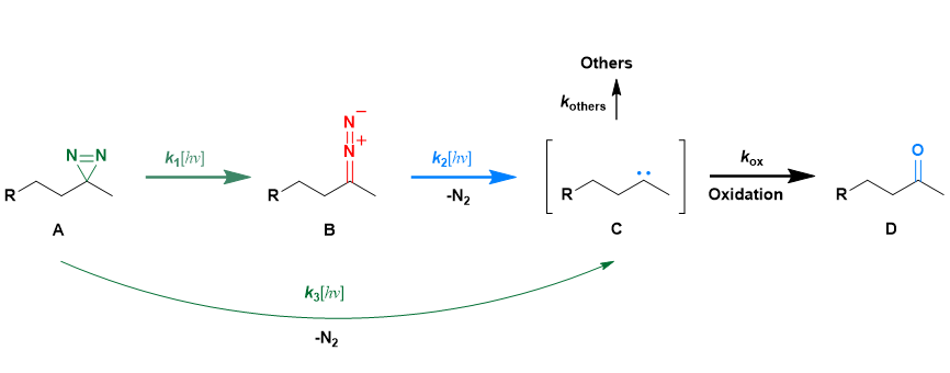 BLOG Figure 3 BLOG Figure 3