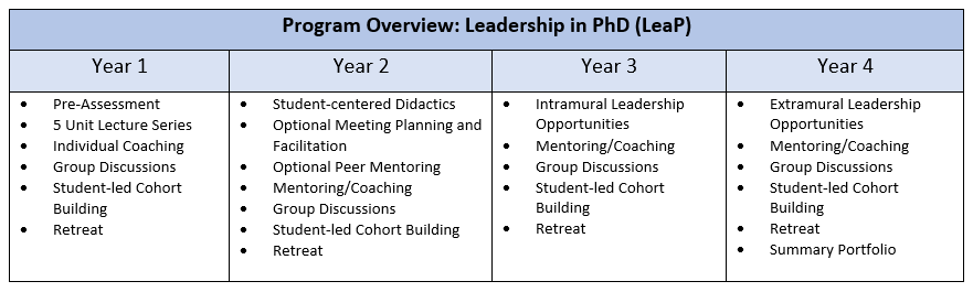 Table showing a summary of key activities proposed for each year of the program.