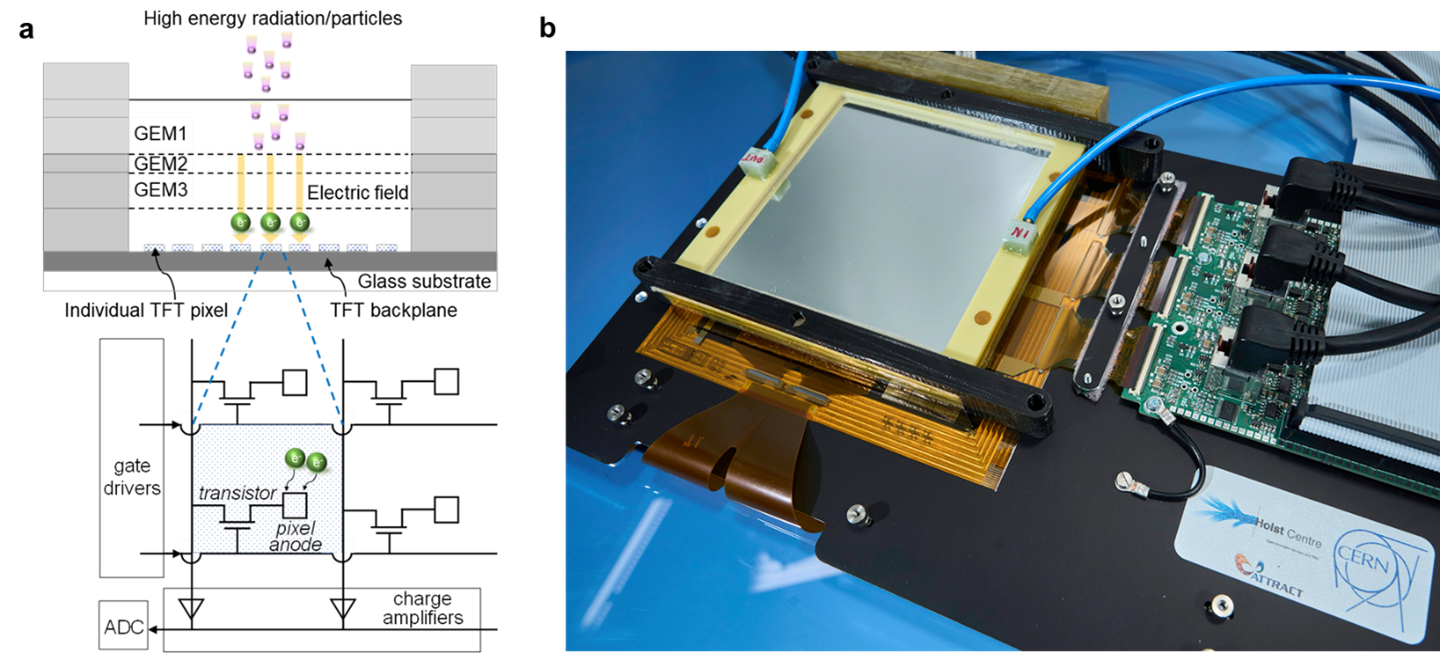 Figure 1- High resolution GEM-TFT radiation detector.