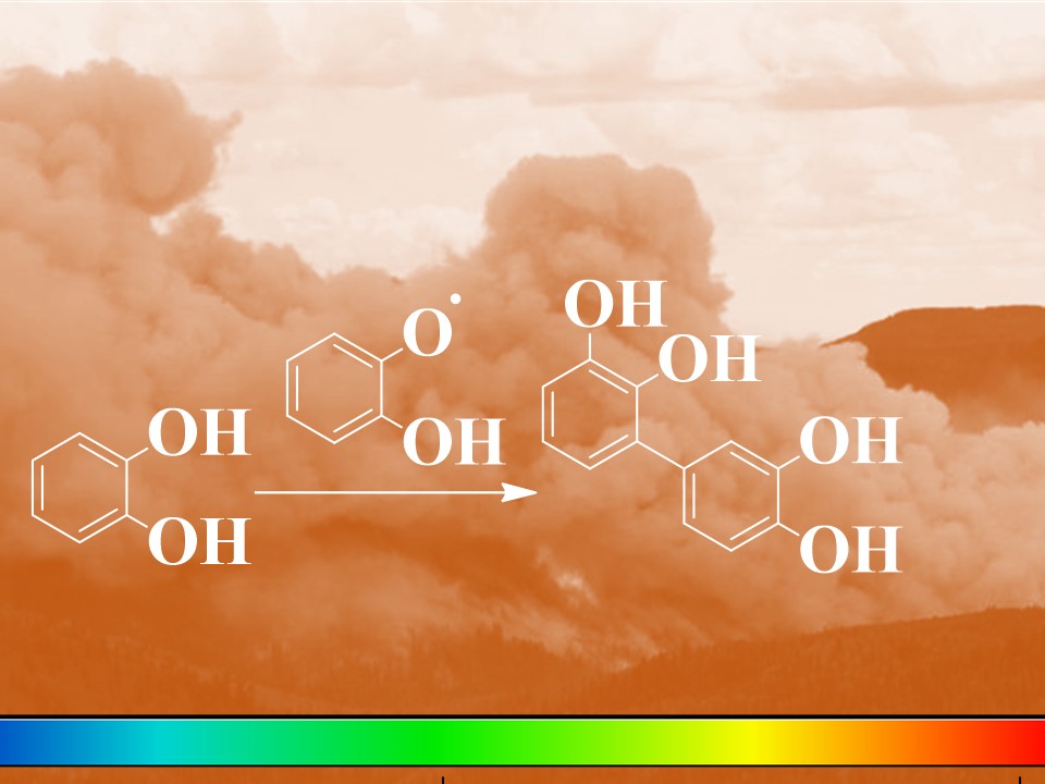 A dimerization reaction of a polyphenol can proceed at interfaces to contribute to the formation of brown organic carbon during the transport of a smoke plume