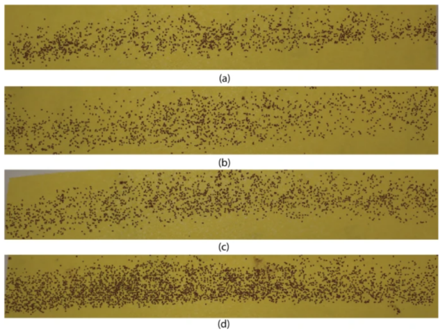 Can you count how many eggs are present in these figures? From Javed, N., López-Denman, A.J., Paradkar, P.N. et al. EggCountAI: a convolutional neural network-based software for counting of Aedes aegypti mosquito eggs. Parasites Vectors 16, 341 (2023). https://doi.org/10.1186/s13071-023-05956-1