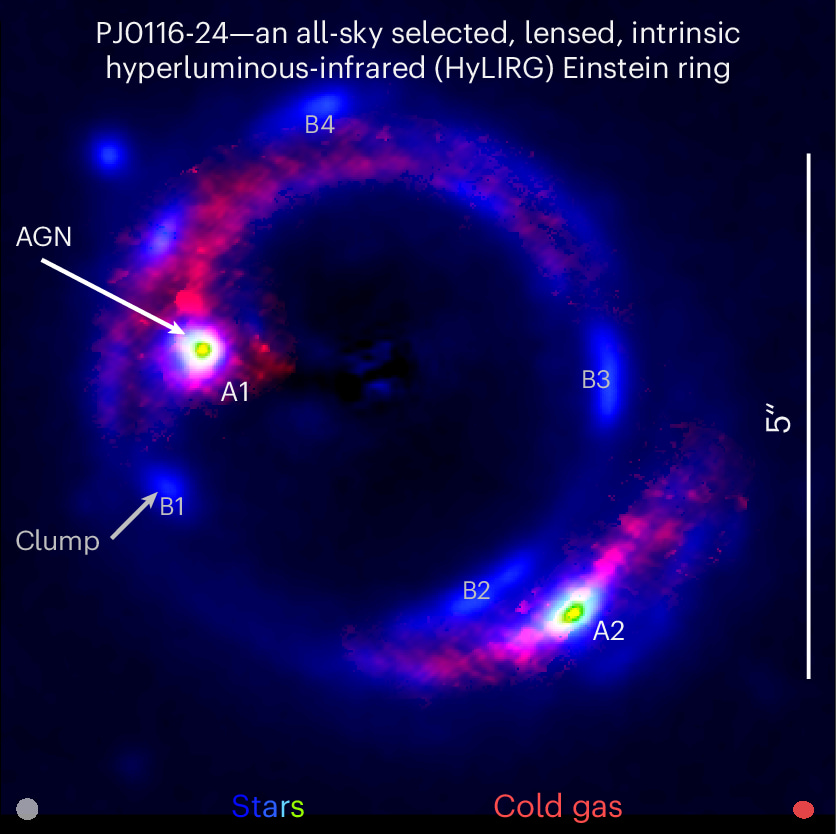 Image of stellar and cold gas emission in the lensed galaxy PJ0116-24.