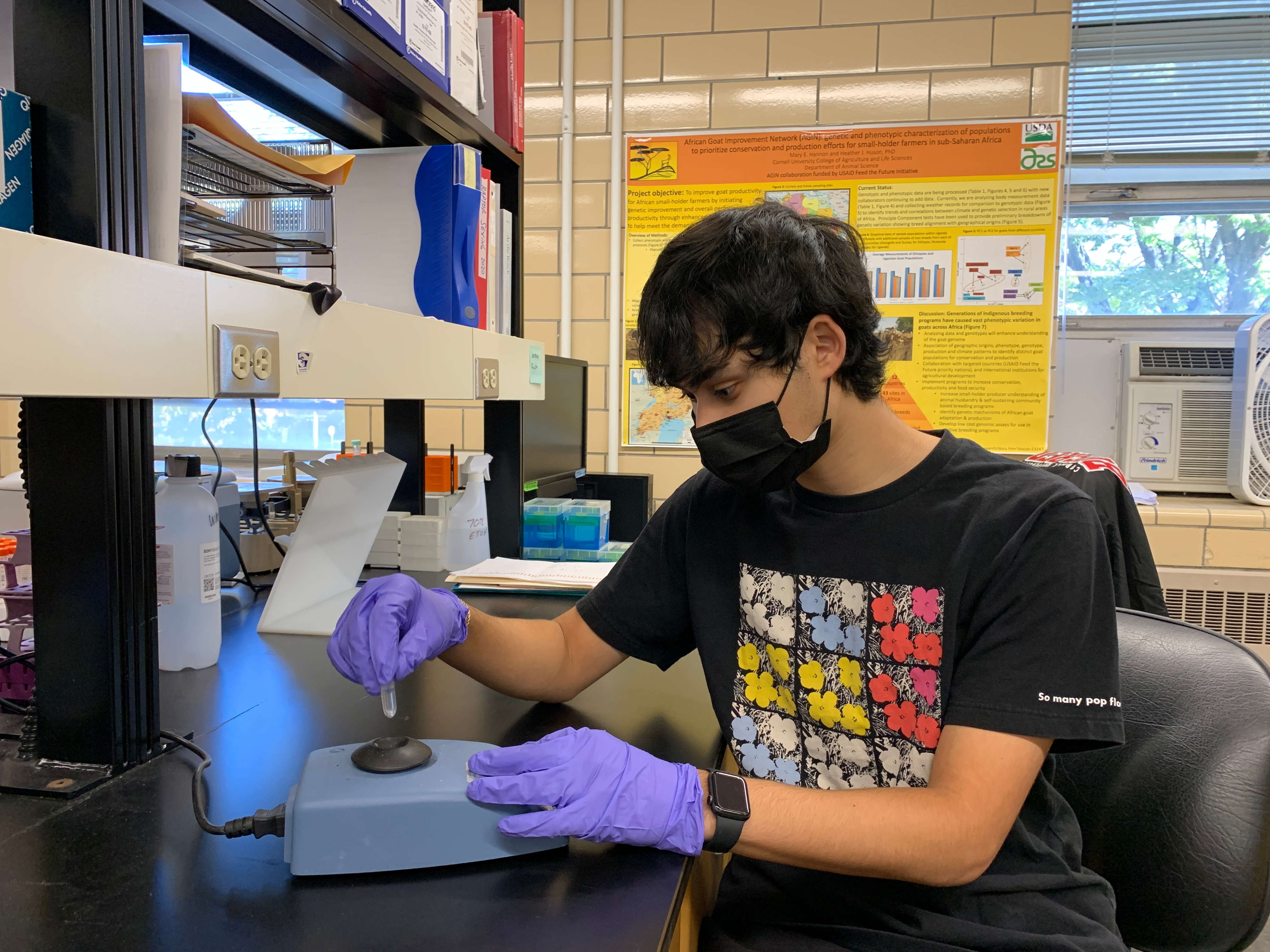 Laidlaw Scholar Kobi Rassnick at the Cornell Veterinary School lab