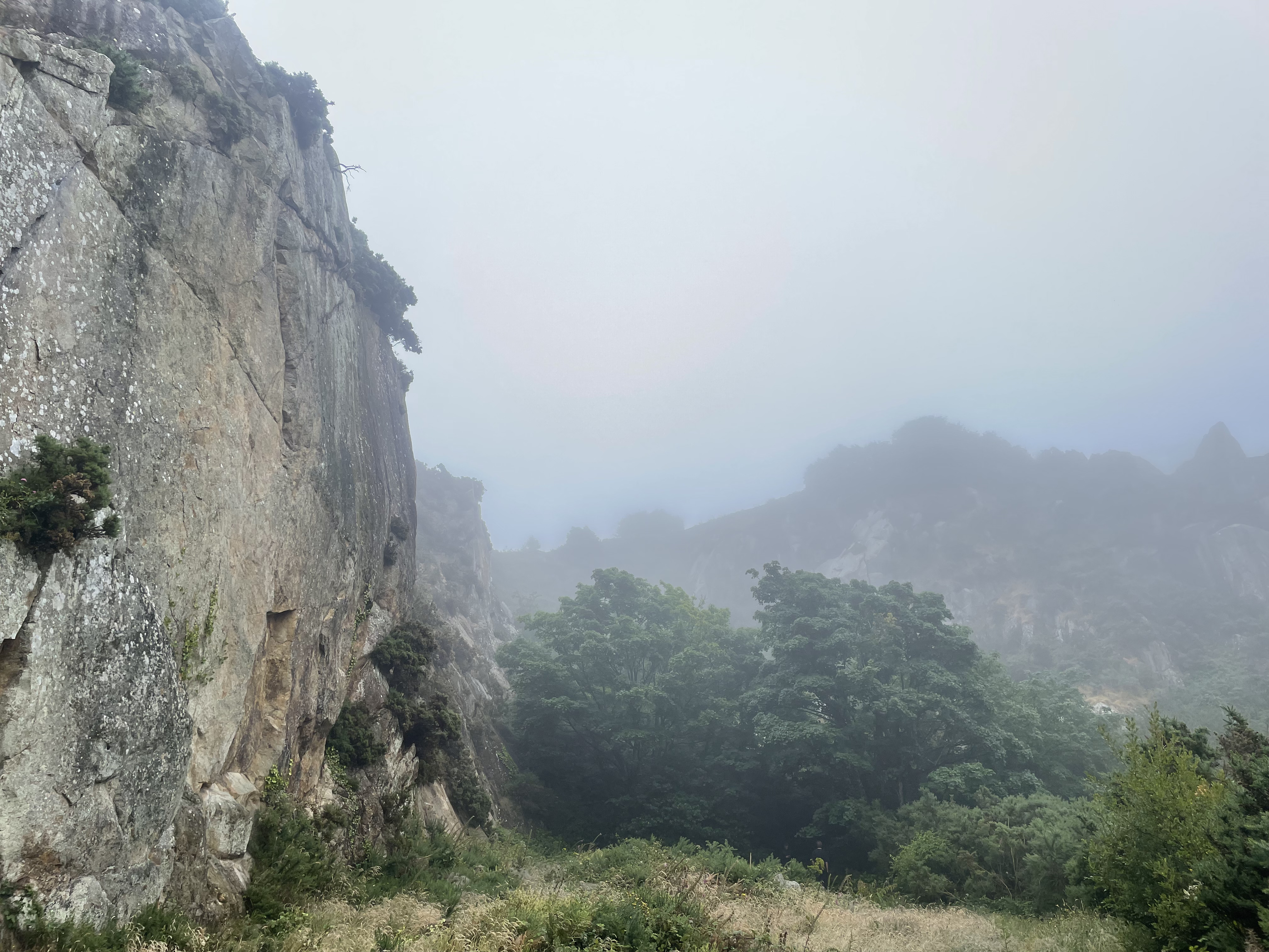 A quarry's cliff face engulfed in fog
