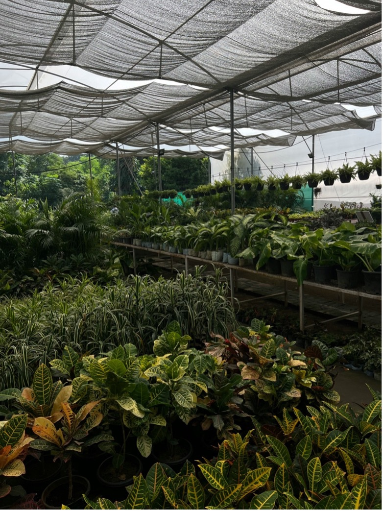 Photo credit: Sukriti Shonek (https://unsplash.com)