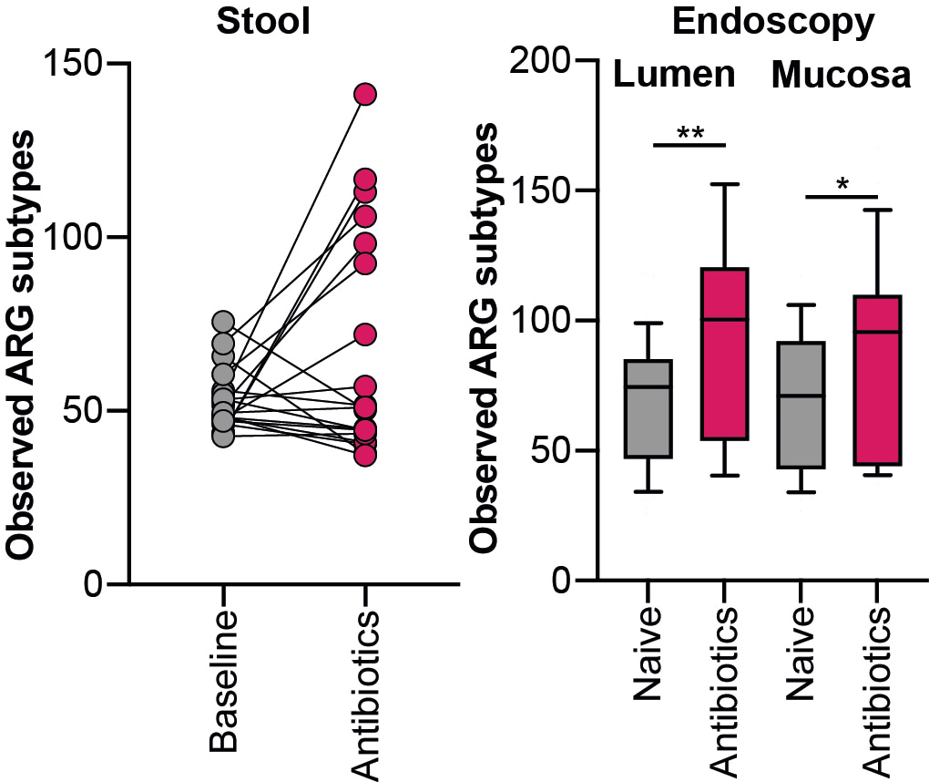 The effect of antibiotics on the resistome is only evident in endoscopic samples
