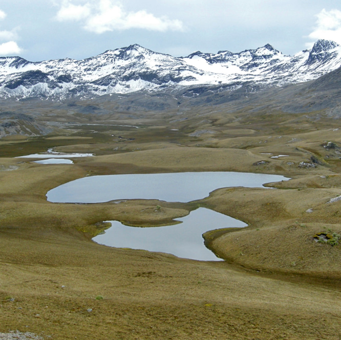 The Diamond field area