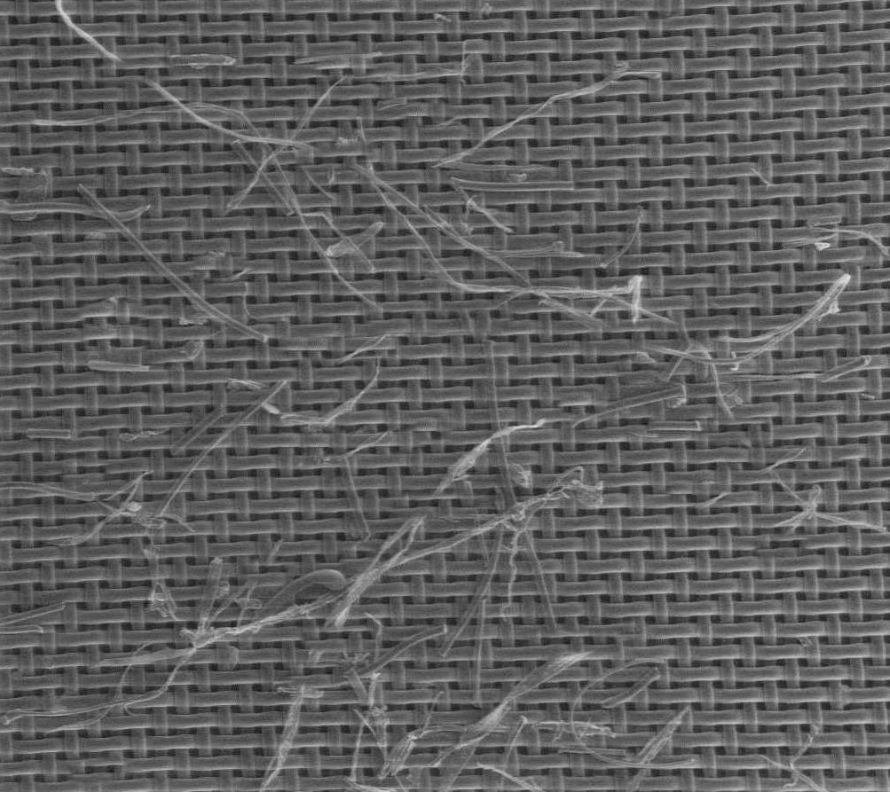 SEM of microplastic fibres filtered from wash water SEM of microplastic fibres filtered from wash water