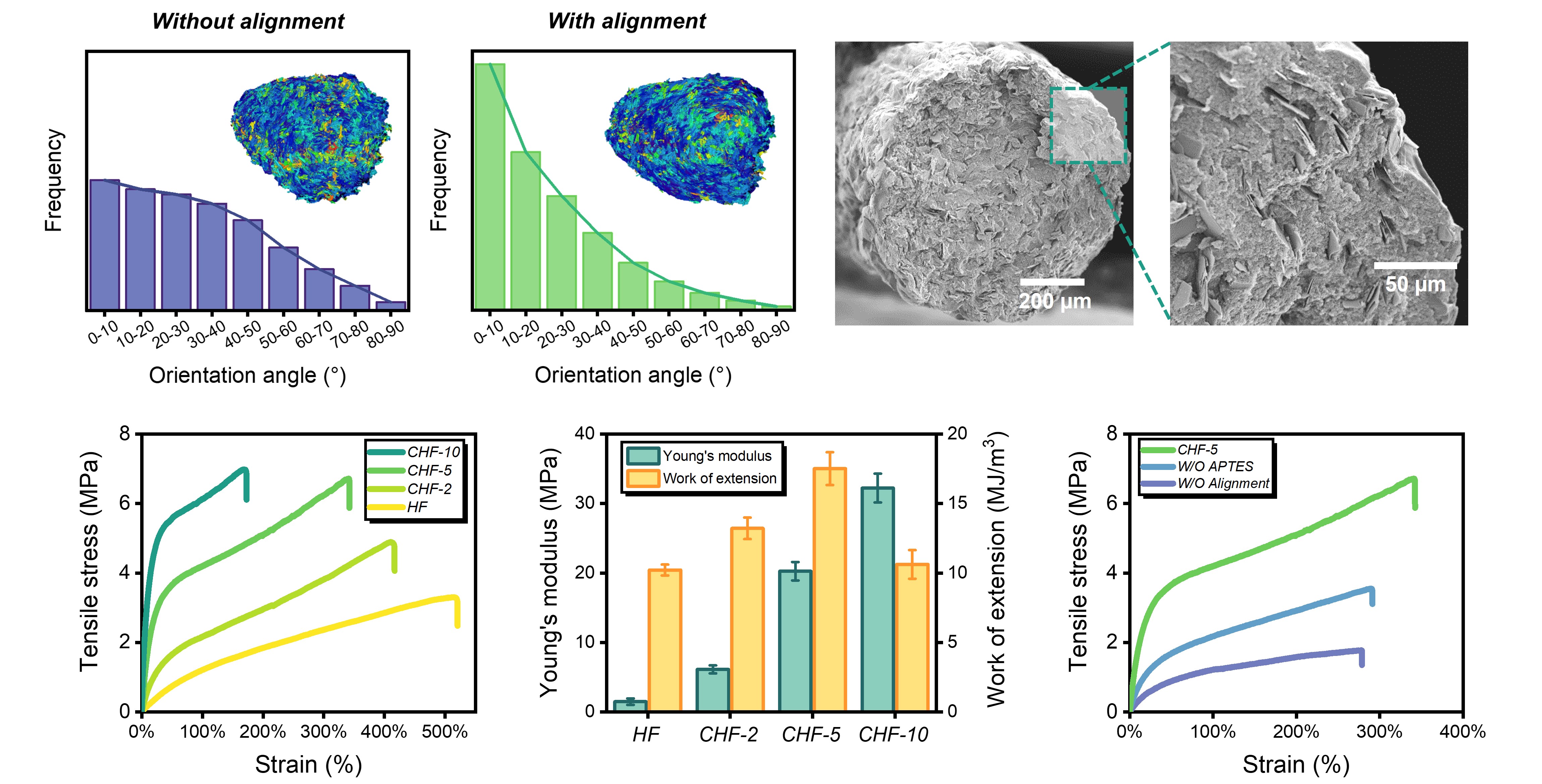 Morphology and mechanical properties of the composite organo-hydrogel filaments
