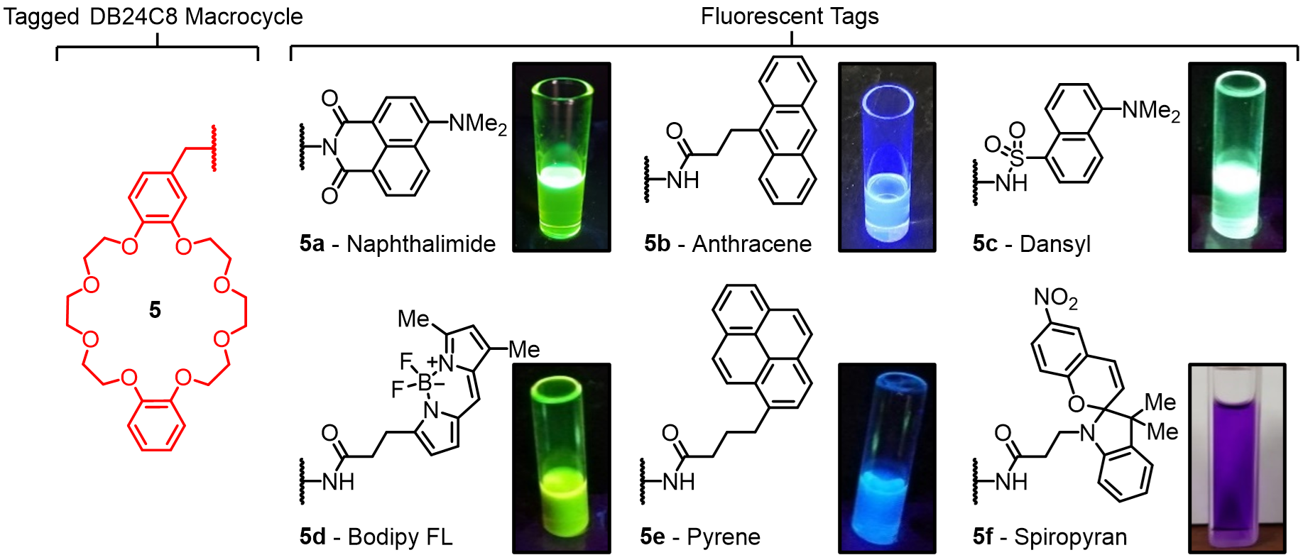 Fluorophore Screen