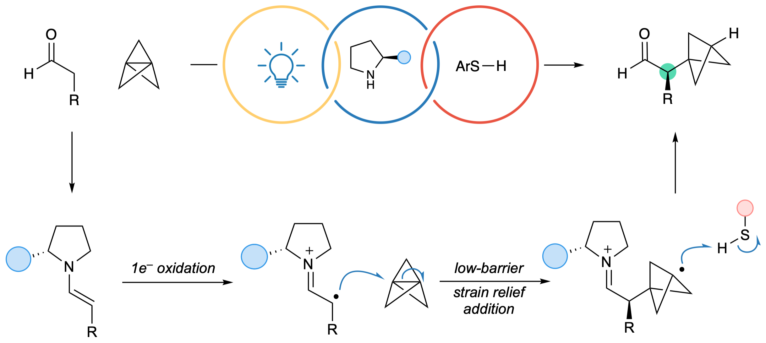 Our three-component organophotoredox reaction generates 𝛼-chiral BCPs from [1.1.1]propellane