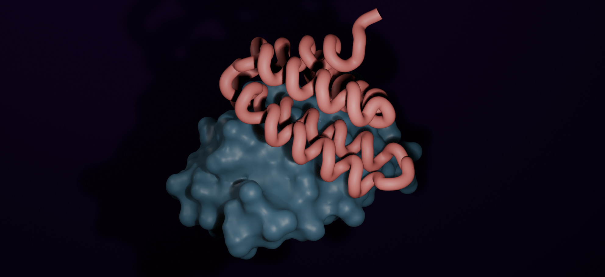 Structural rendering of a BindCraft designed de novo protein binder