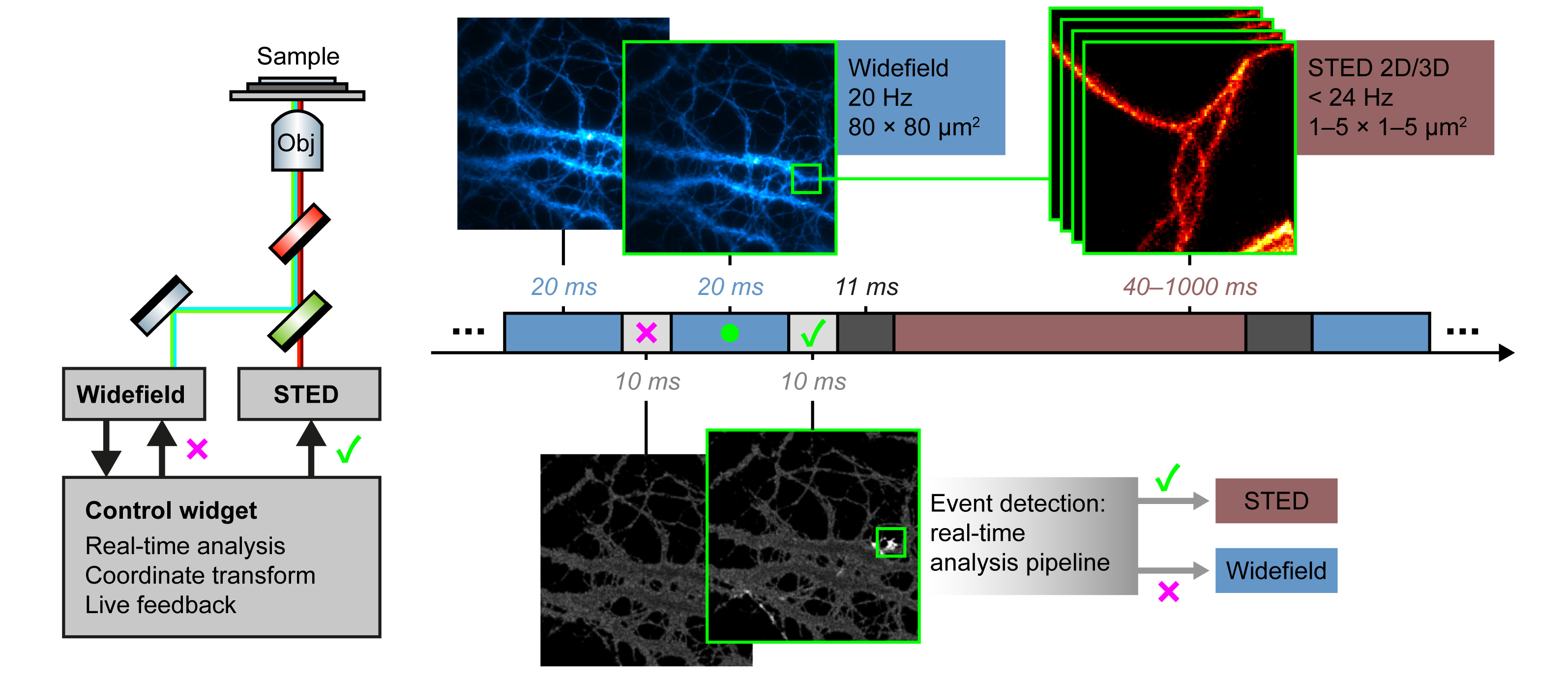 etSTED general method