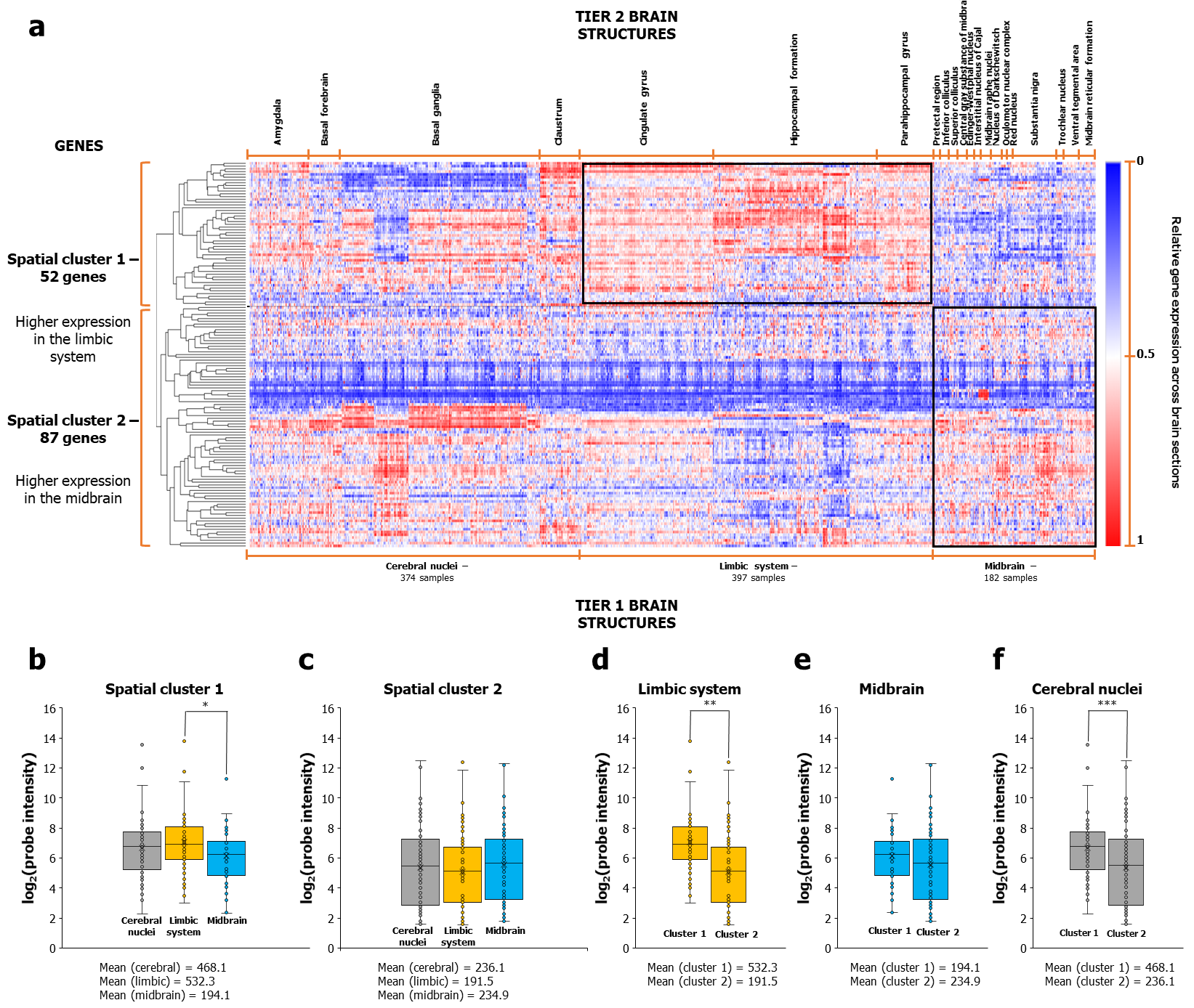 Figure 1: AD-associated genes bifurcated into two clusters based on differential expression patterns in the limbic and midbrain regions.