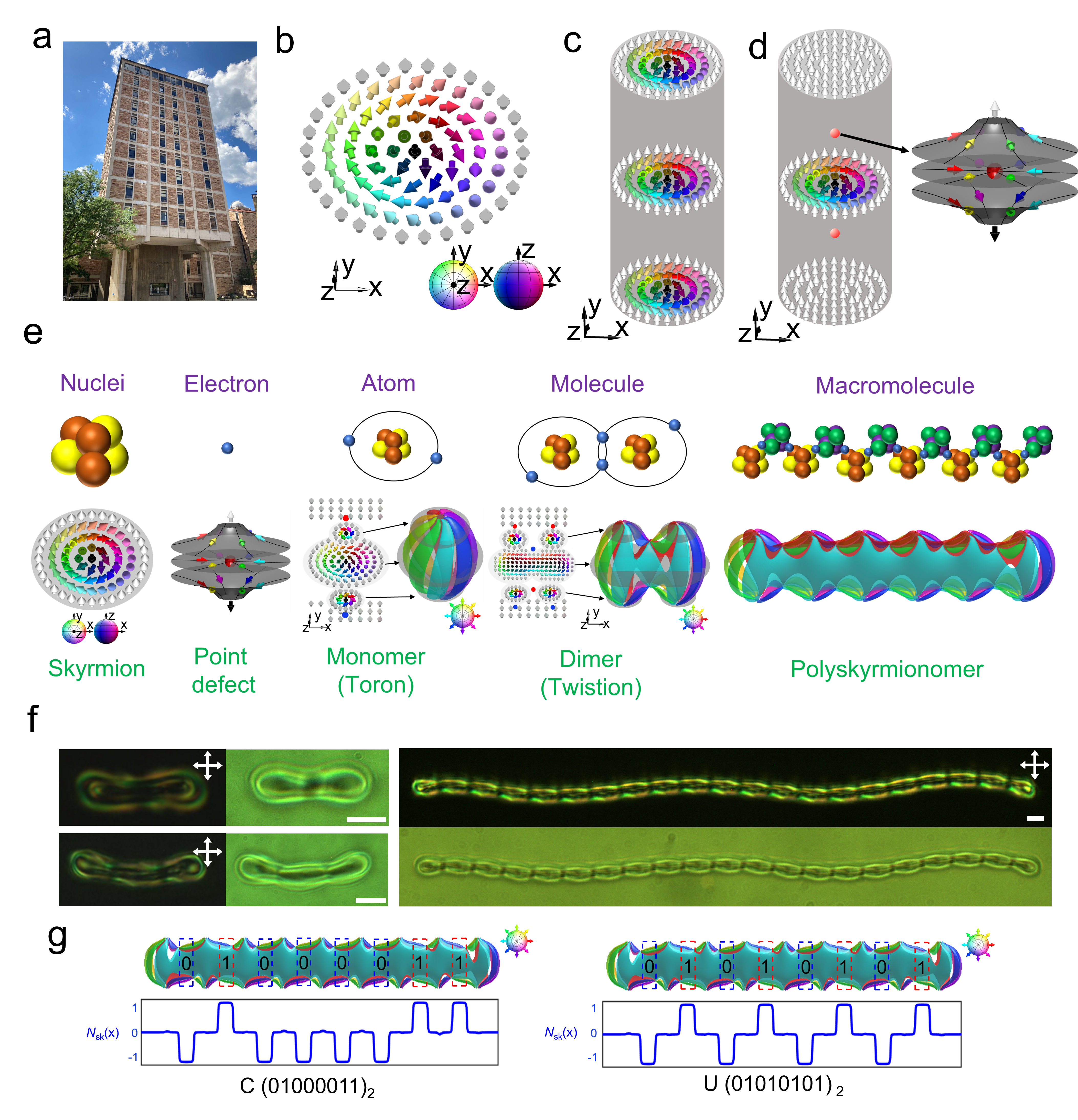 Figure 1) a: Gamow Tower at CU-Boulder. b: Schematic of a 2D skyrmion with n(r)  shown by arrows according to the coloured sphere (bottom inset) representing the order parameter space of vectorized n(r). c: Schematic of a skyrmion tube. d. Schematic of a toron (left) and a hyperbolic point defect (right). e: A schematic shows analogies between nuclei and skyrmion, electron and point defect, atom and toron, molecule and twistion2, and macromolecule and polyskyrmionomer. f: Polarizing optical micrographs and brightfield transmission-mode optical images of polyskyrmionomers. Scale bars indicate 5 μm. g: Encoding of word “CU” using the ASCII binary table.
