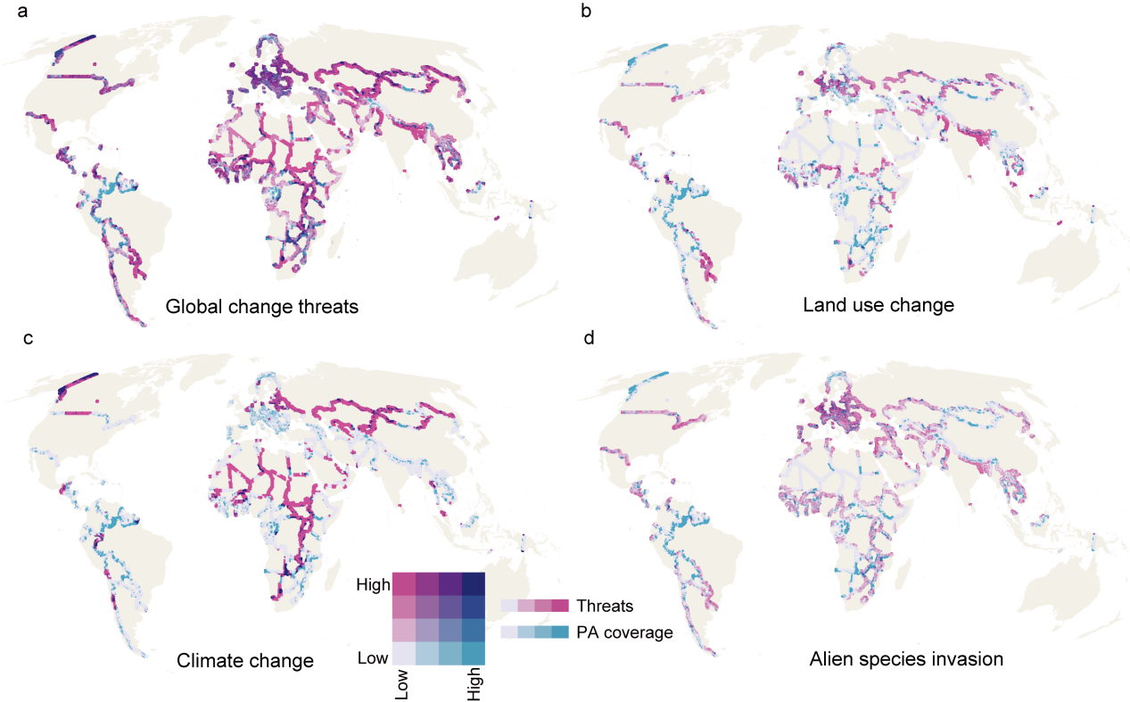 Figure 5. Global change threats and protected area coverage of species ranges in transboundary areas.