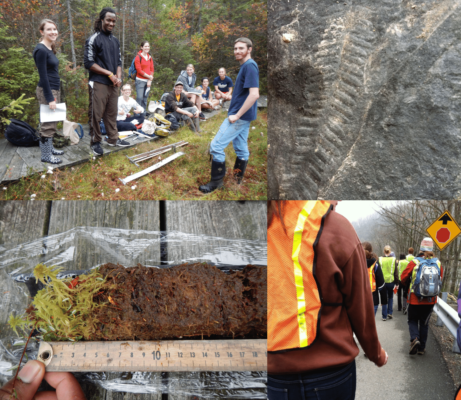 Figure 1. Collecting fossils and peat bog cores during my undergrad.