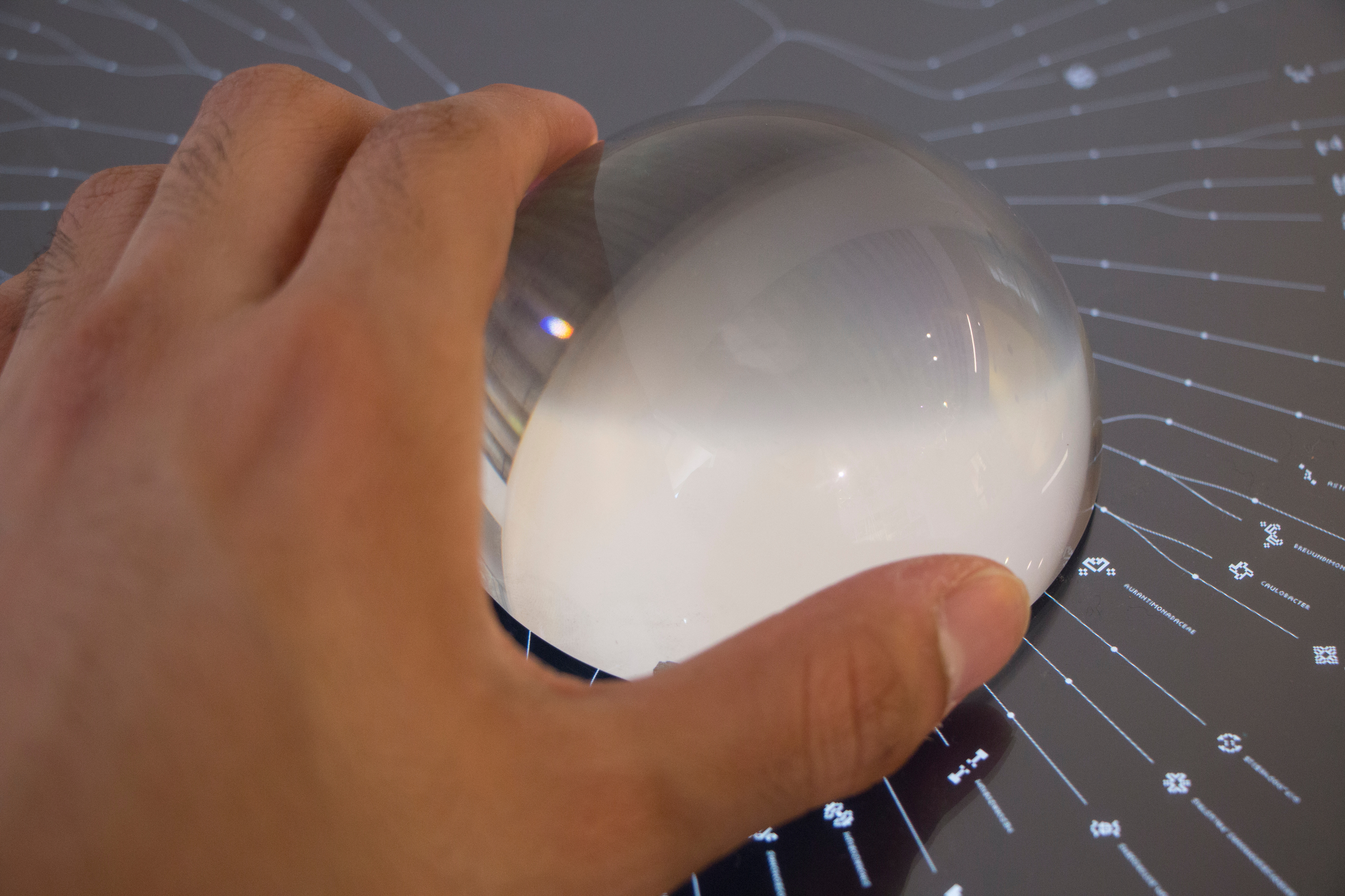 Very closeup look of a person's left hand holding a large glass loupe. The loupe is placed on a dark surface with white patterns, magnifying their images. 