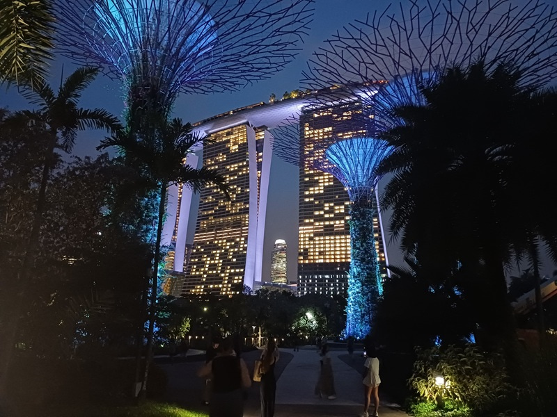 Photo at night of the Gardens by th Bay.