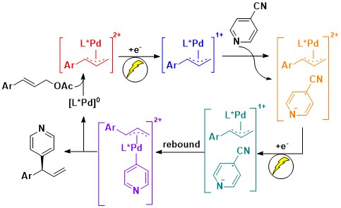 reaction pathway