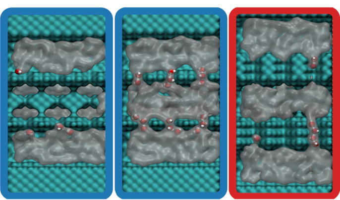 Three panels which the molecular dynamics representation of the main pore. The first panel represents the middle pore dry, with a short secondary channel lenght, and in that case the secondary channels are dry. The second panel represents the main pore wet, and most secondary channels are also wet. The water molecules inside the channel are represented, highlighting the single file nature of the wetting. The third panel represents the main pore wet but with a larger secondary channel lenght. In this case only one secondary channel is wet, but again the single file nature of the wetting is evident.