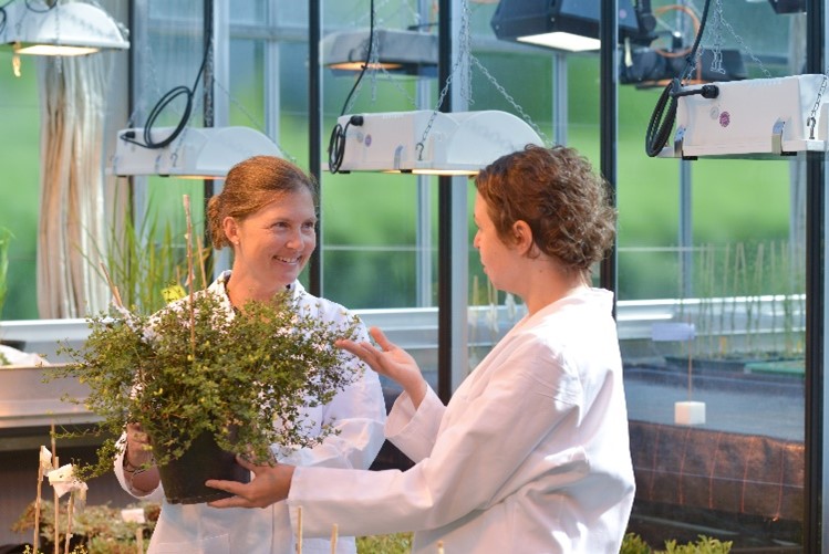Two researchers talking and holding a plant, Student pippetting, Graduate School Life Science Munich