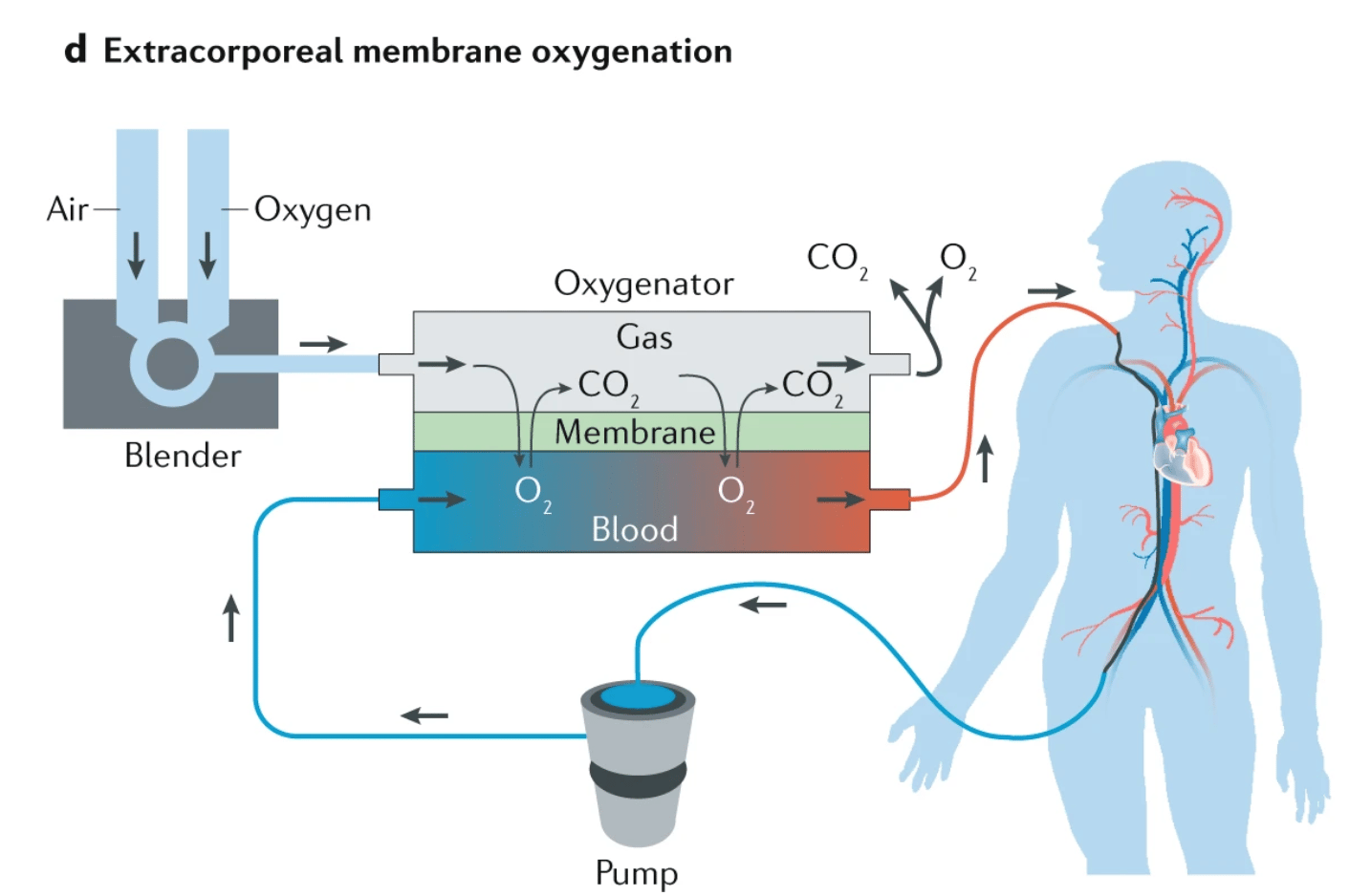 Fig. 4: Materials science in the treatment and vaccination of viral diseases.
