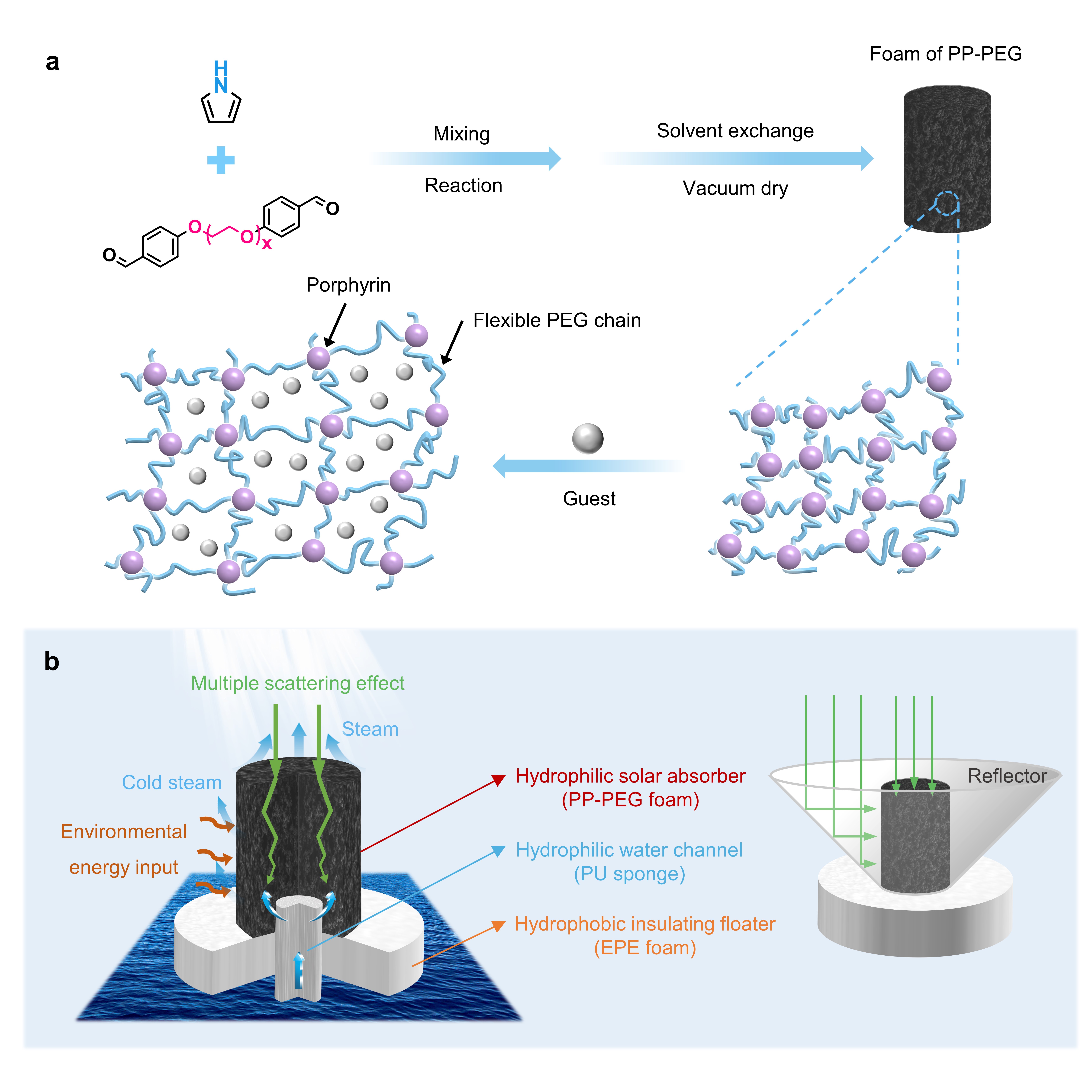 a Design of PP-PEG 3D foams prepared by the reaction of pyrrole with dialdehyde precursors containing PEG chains, and its adaptability to the guest. b Schematic illustration of the efficient solar steam evaporation system based on PP-PEG solar evaporators.