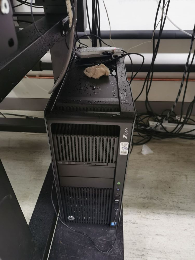 Rainy day at the microscope Rainy day at the microscope