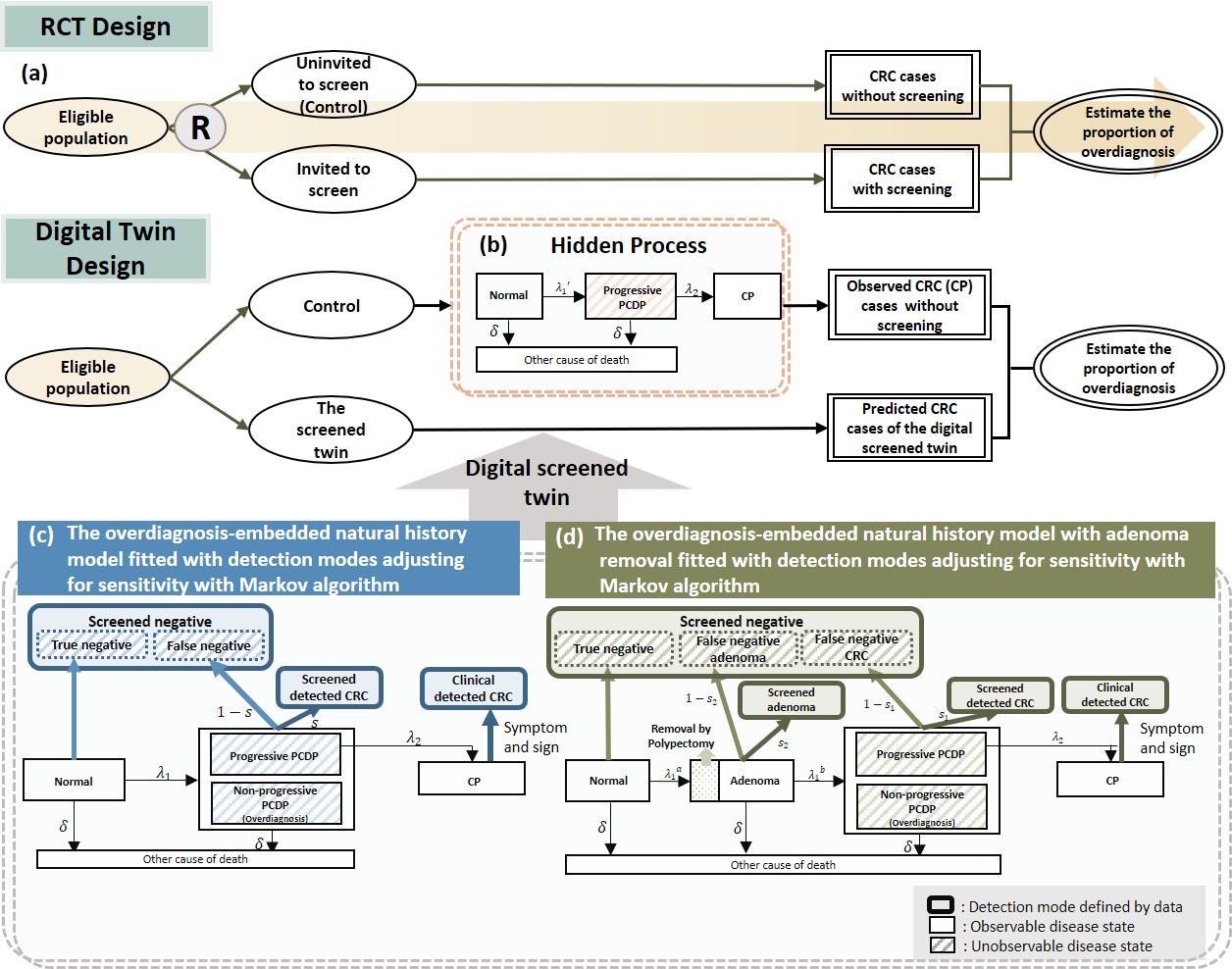 Figure 1. Randomized controlled trial (RCT) and digital twin design for overdiagnosis in population-based screening.