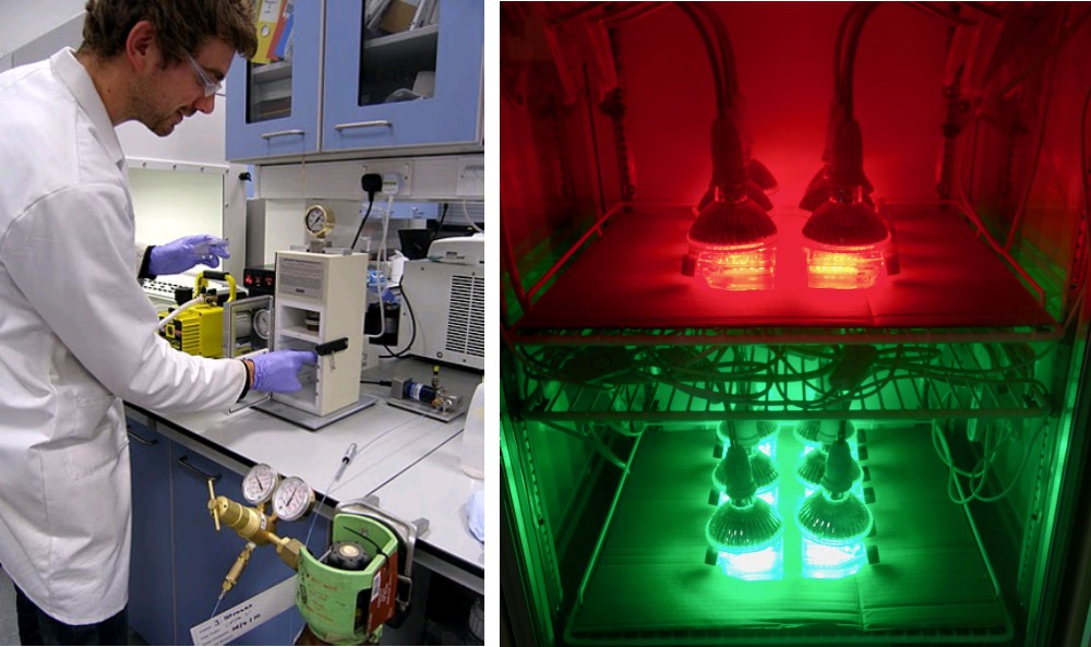 Jan Strauss genetically engineering diatoms using a biolistic particle delivery system (left) and experimental set-up of diatom phenotyping experiments under green and red light (right).