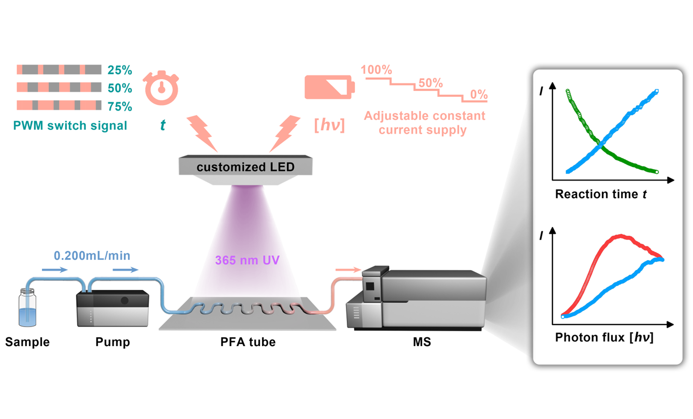 BLOG Figure 2 BLOG Figure 2