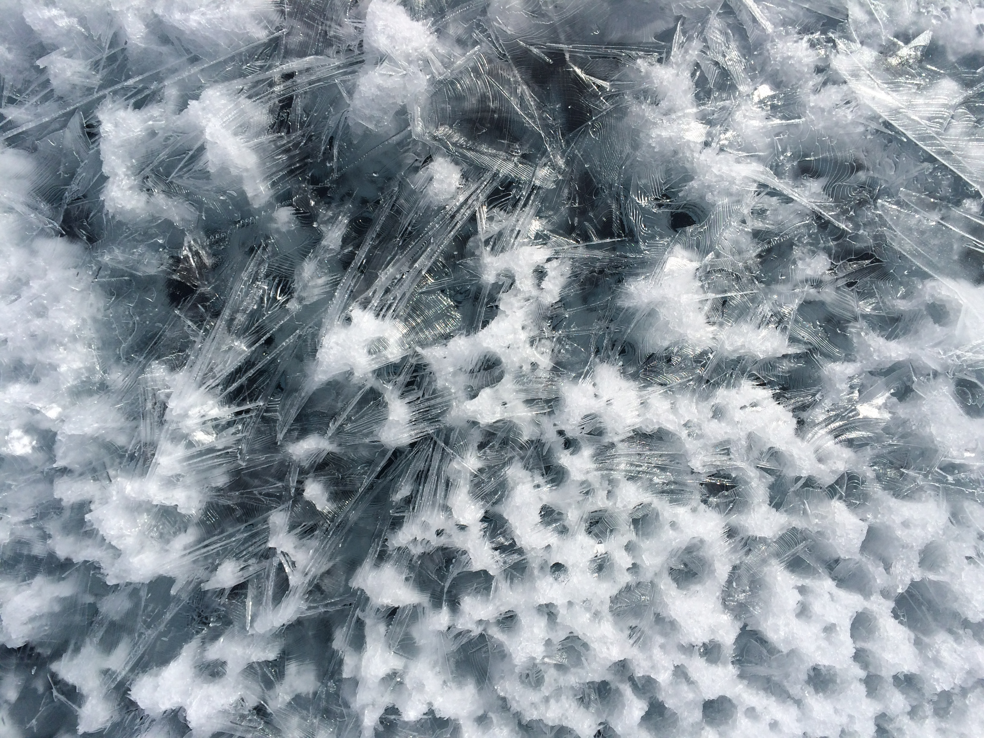 An image showing refrozen meltwater entrained in cryoconite holes and weathered ice on the ice sheet surface.